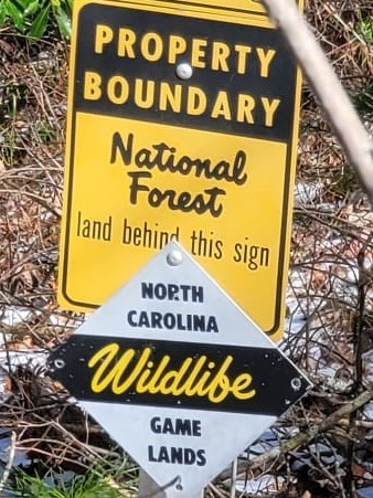 National Forest